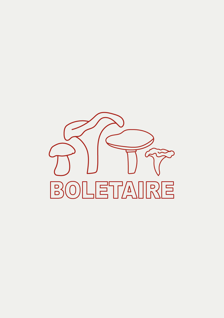Boletaire