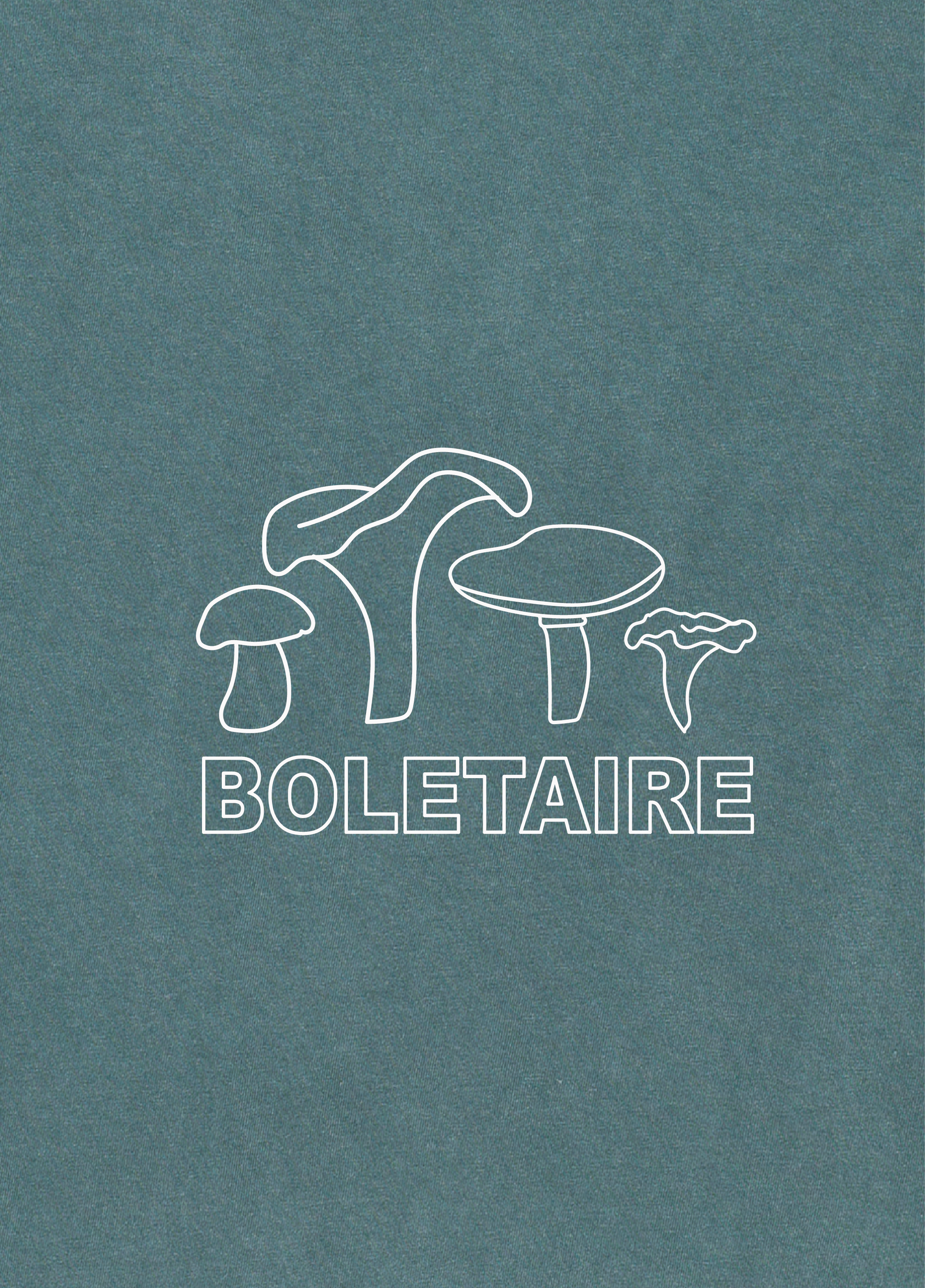Boletaire