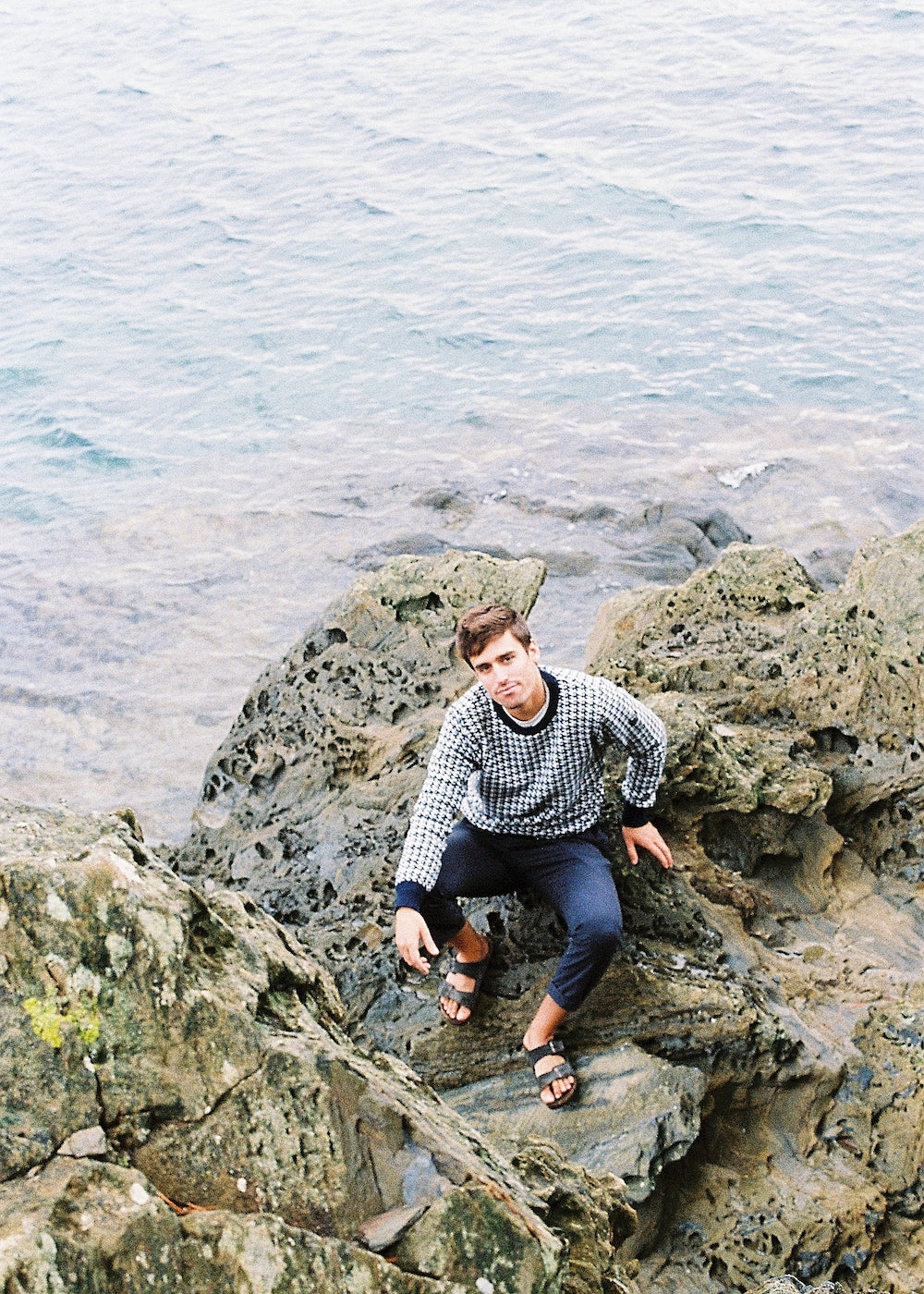 Harrison