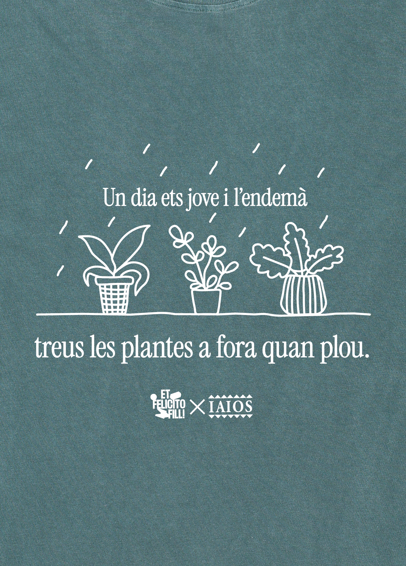 Treus les plantes fora quan plou.