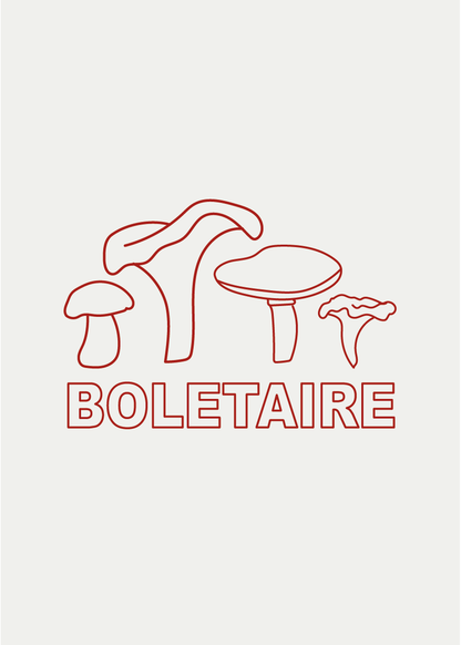 Boletaire