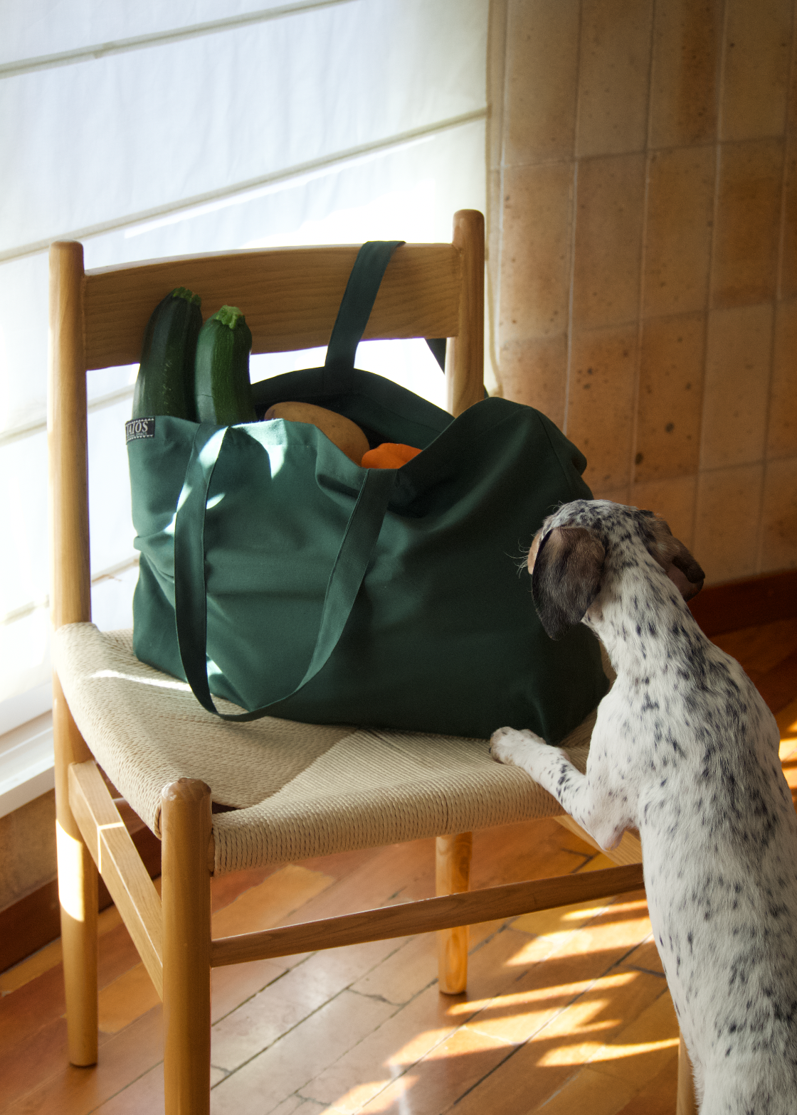 Un perrito olfateando la bolsa de la compra