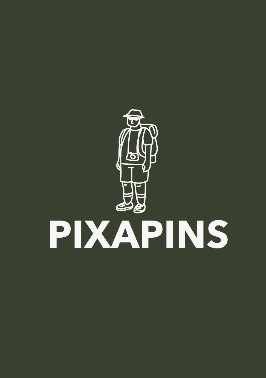 Pixapins