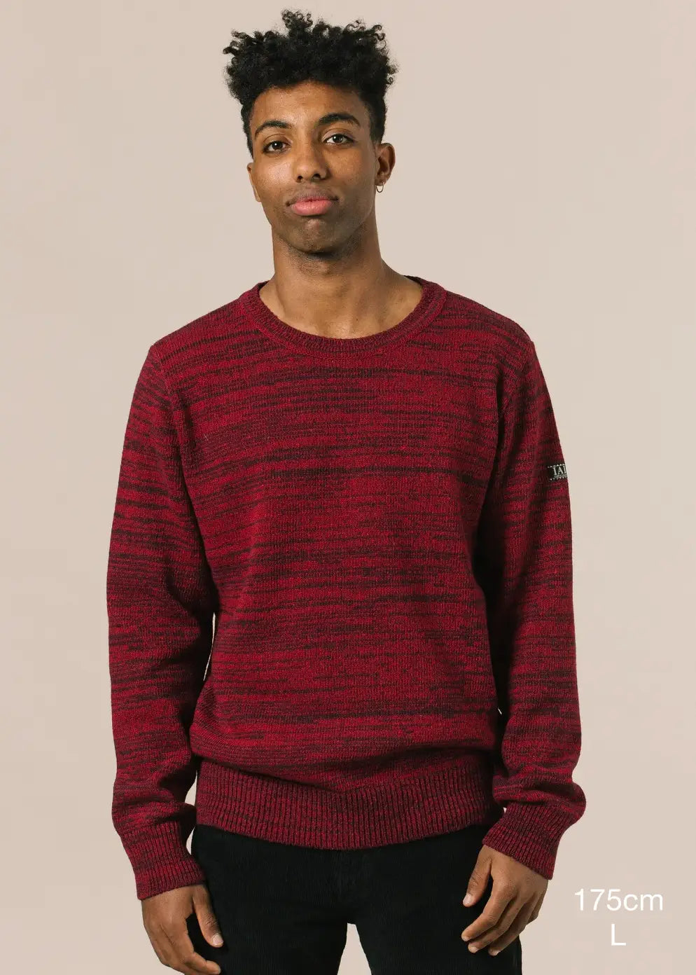 Half-length photograph detailing the height of the model (175cm) and the size of the sweater (L). 
